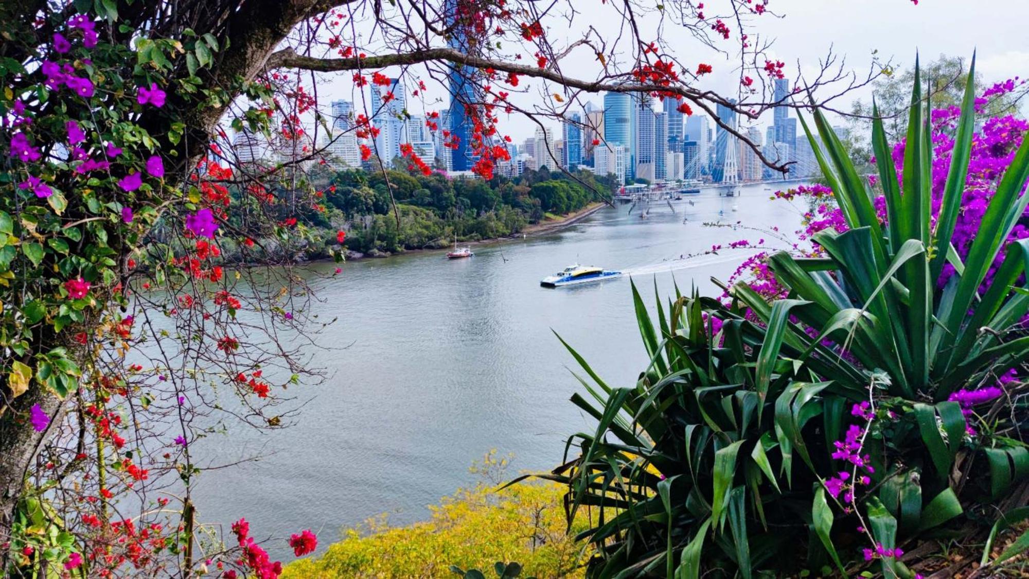 Cliffinn Kangaroo Point Brisbane Kültér fotó